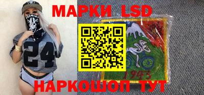 индика Пенза