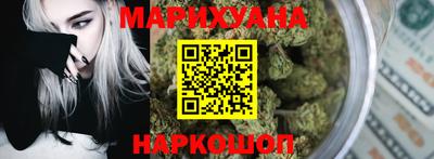 индика Пенза