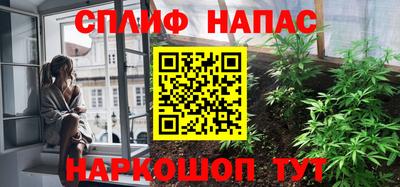 индика Пенза